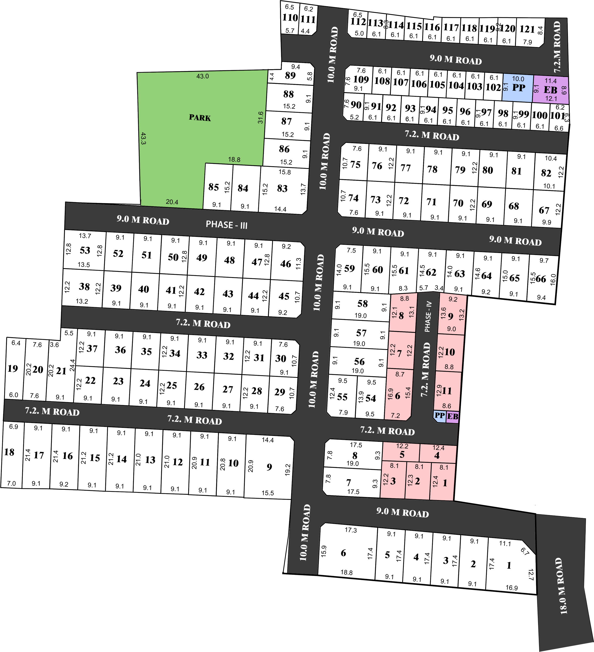 Chrysanthemum: nice flower.